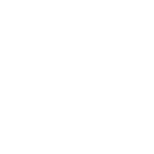 translation icon